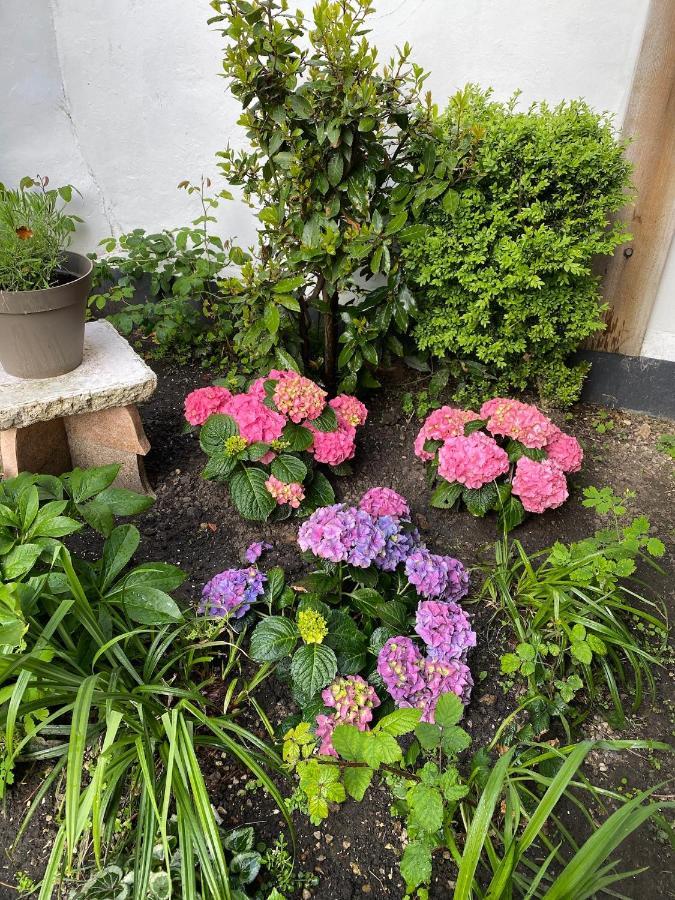 Appartement Vivier 4 Personnes Tout Confort Boulogne-sur-Mer Esterno foto